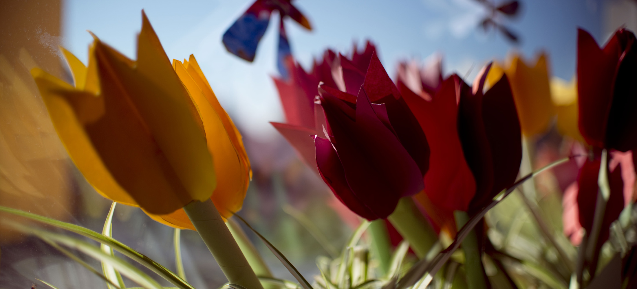 Header Fensterdeko2
